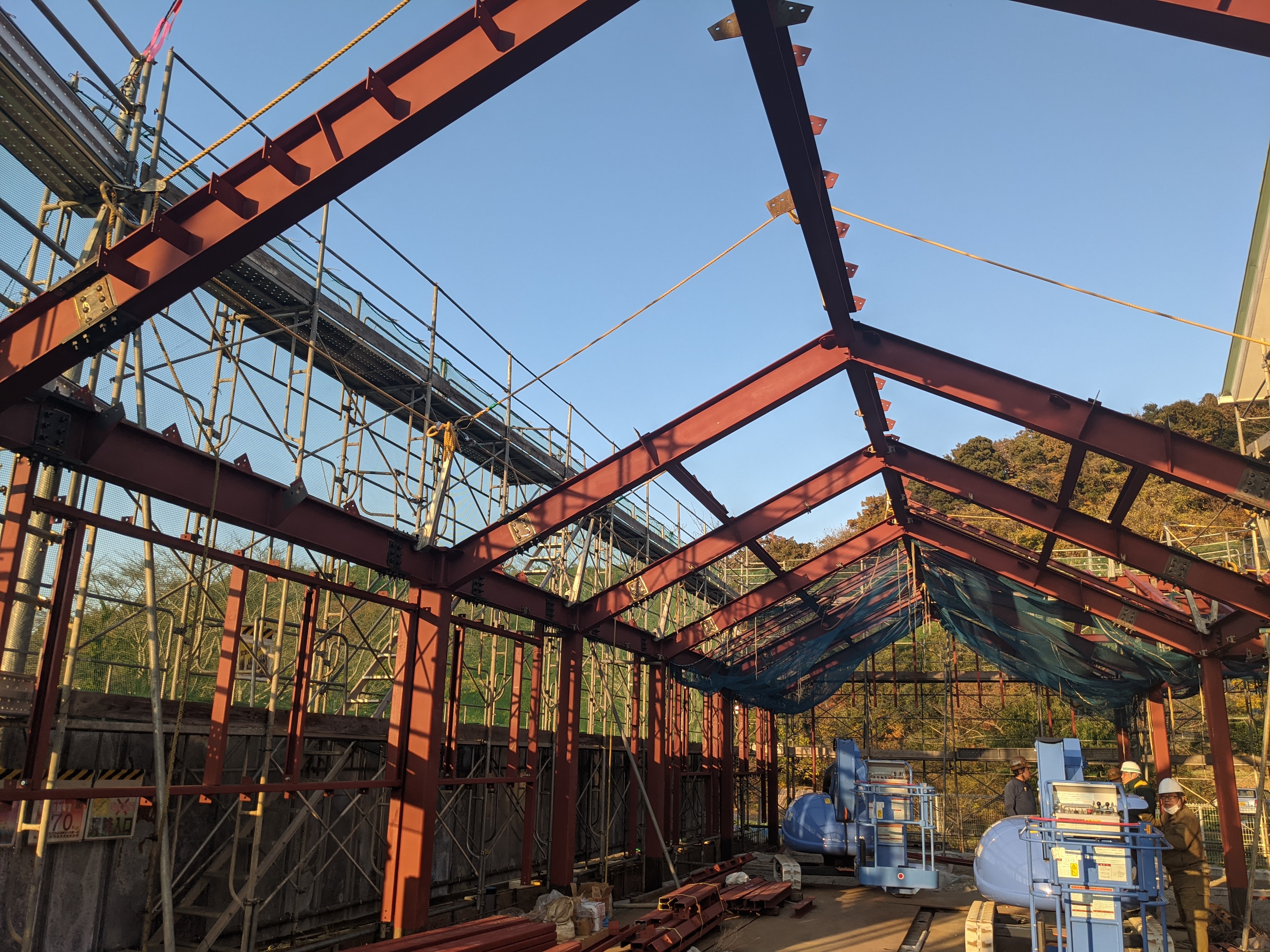 PXL_20201117_063223928